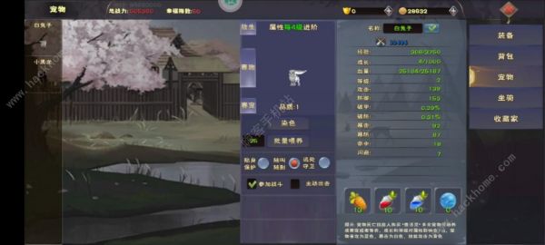 遇见怎么抓宠物 宠物/坐骑获取攻略图片2