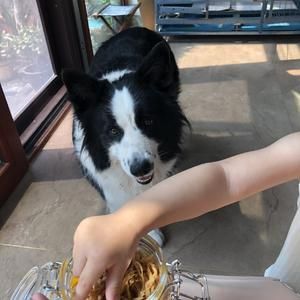 狗零食（鸡胸肉干）【空气炸锅版】的做法 步骤5