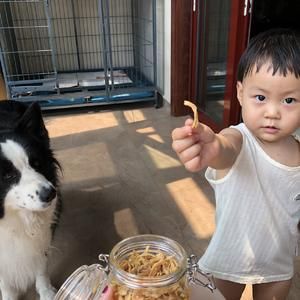 狗零食（鸡胸肉干）【空气炸锅版】的做法 步骤7