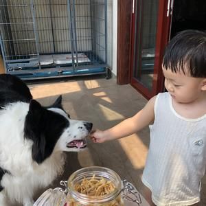 狗零食（鸡胸肉干）【空气炸锅版】的做法 步骤8