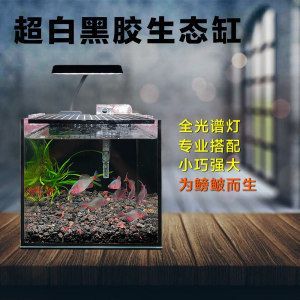 超白鱼缸越厚越好吗：超白鱼缸厚度选择指南 鱼缸 第3张