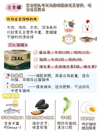 猫咪繁殖期间营养食谱：燕窝搭配与全面营养补充指南