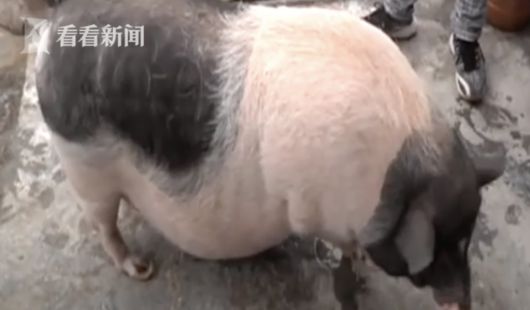 QQ20210420-112548@2x.png