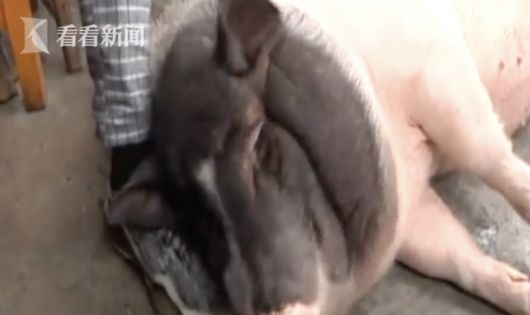QQ20210420-112537@2x.png