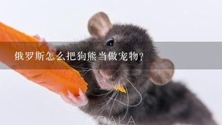 俄罗斯怎么把狗熊当做宠物？