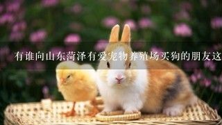 有谁向山东菏泽有爱宠物养殖场买狗的朋友这是骗局别在买了？