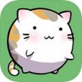 发现猫咪乐园