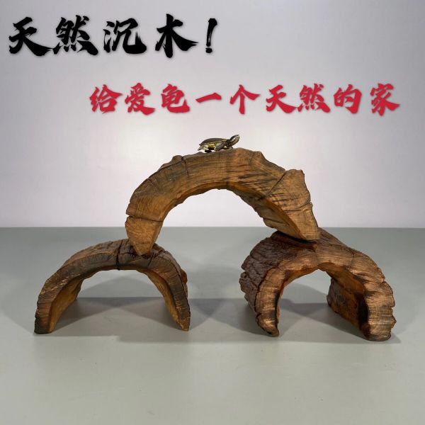 养龟必备物品清单三:乌龟爬台选择与避坑