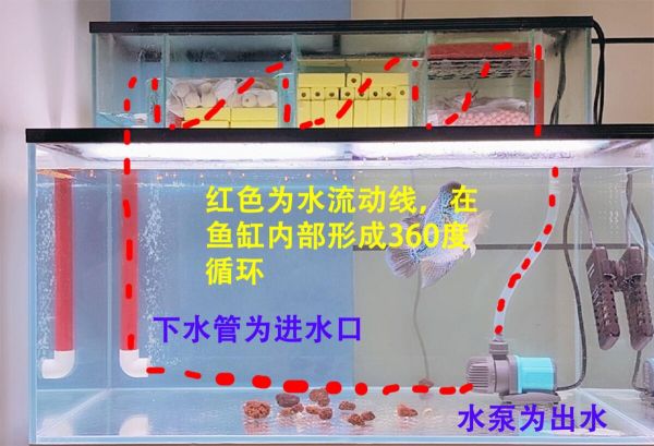鱼缸进出水口合理摆放位置，3 种过滤分别讲解！