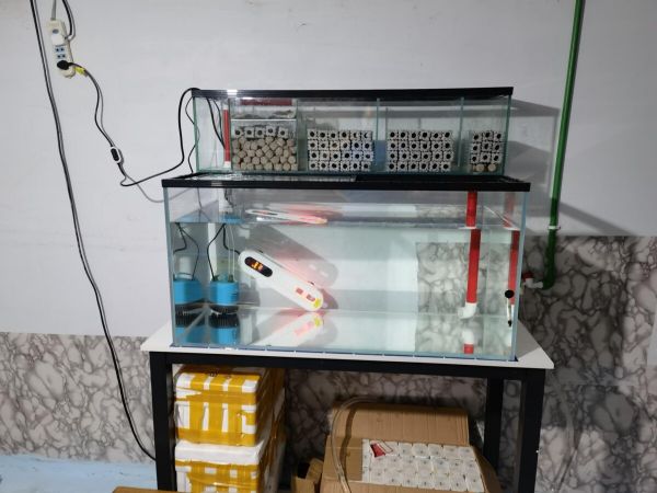 鱼缸进出水口合理摆放位置，3 种过滤分别讲解！
