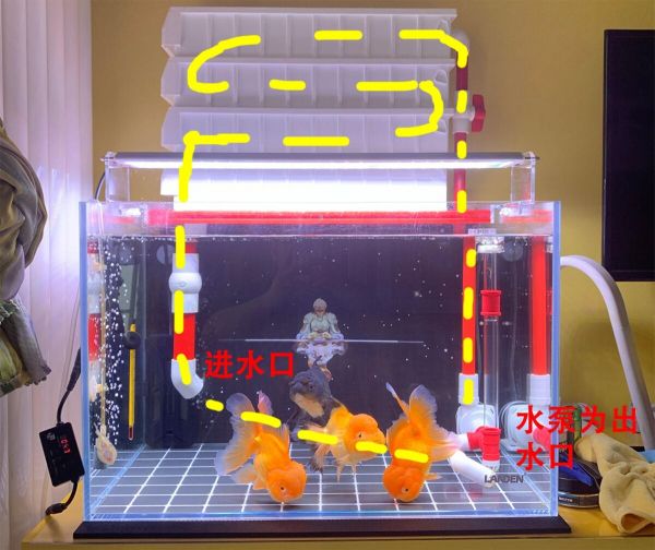 鱼缸进出水口合理摆放位置，3 种过滤分别讲解！