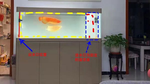 鱼缸进出水口合理摆放位置，3 种过滤分别讲解！