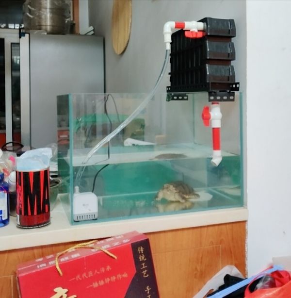 鱼缸进出水口合理摆放位置，3 种过滤分别讲解！