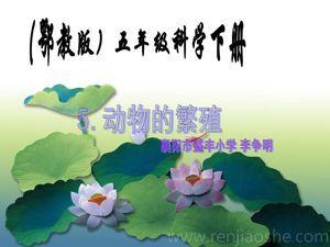 《5 动物的繁殖》PPT课件(湖北省县级优课).ppt