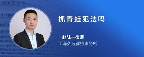 抓青蛙犯法吗