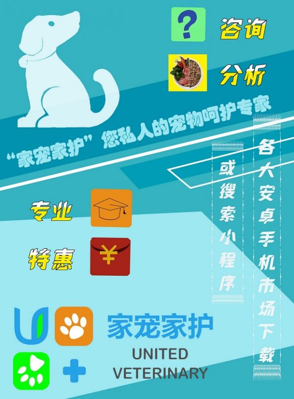 狗的护食行为纠正（上）