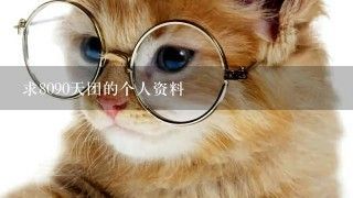 求8090天团的个人资料