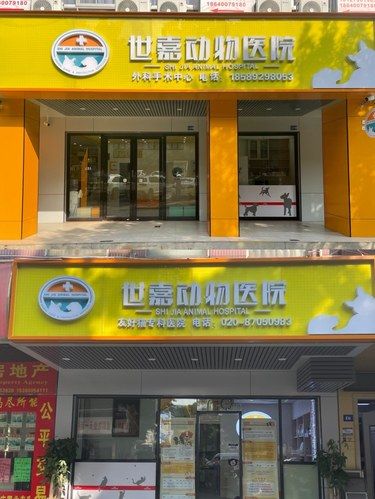 看口腔找邹医生准没错