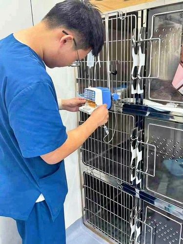 这会是下一家倒闭宠物医院吗……⁉️