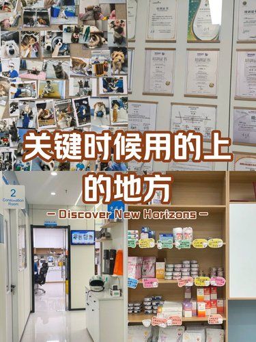 这是一个关键时候用的上的地方