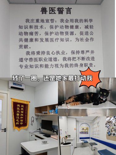 转了一圈，还是这家最棒