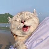 下一个