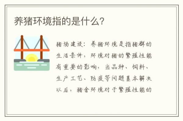 养猪环境指的是什么？