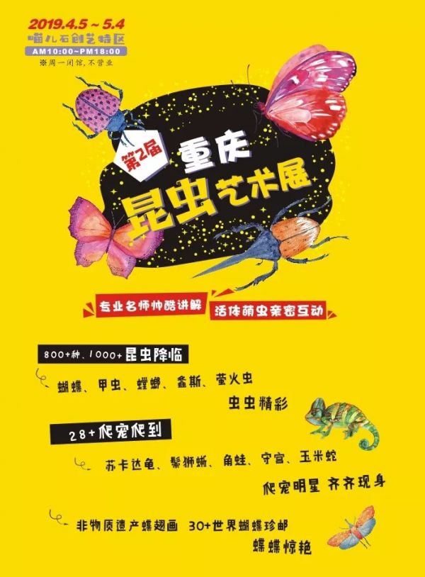 2019重庆昆虫艺术展游玩攻略（时间、地点、门票）
