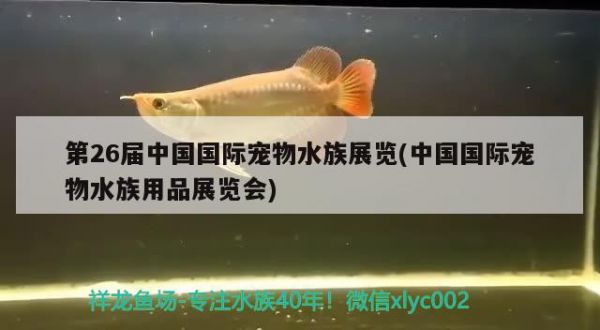 第26届中国国际宠物水族展览(中国国际宠物水族用品展览会) 水族展会