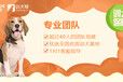 湖北宠物训练中心-训犬帮