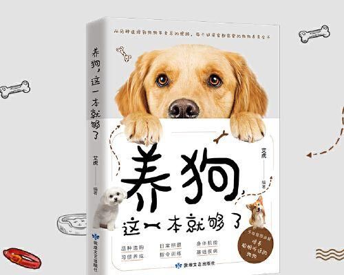 如何为宠物狗提供营养均衡的饮食（从喂养频率到饮食搭配，全面解析小狗的饮食问题）