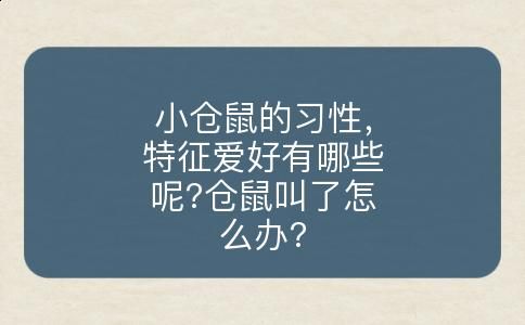 小仓鼠的习性，特征爱好有哪些呢?仓鼠叫了怎么办?