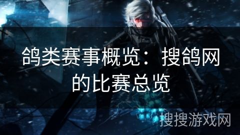 鸽类赛事概览：搜鸽网的比赛总览
