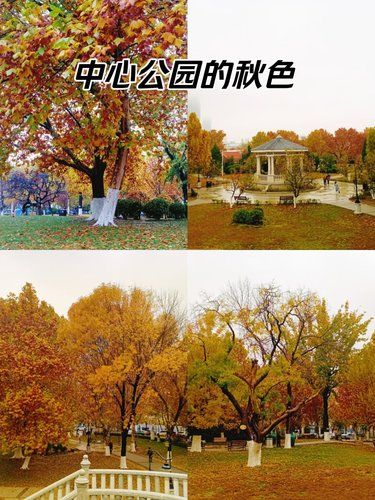 中心公园秋景如画