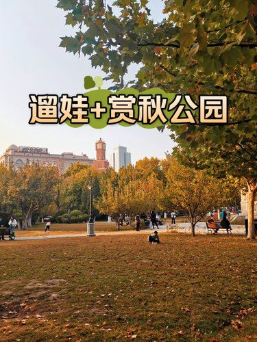 遛娃+赏秋公园超多孩子来这儿放电