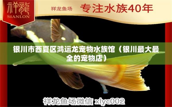 银川市西夏区鸿运龙宠物水族馆（银川最大最全的宠物店） 全国水族馆企业名录