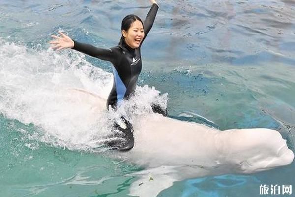 日本水族馆有哪些