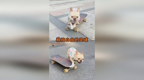 自由带来快乐