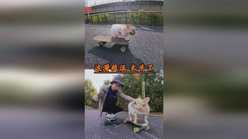 这滑板汪太牛了