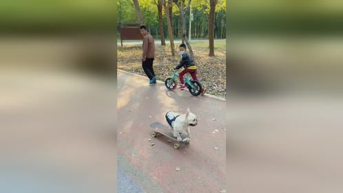 骑着滑板卖着呆 谁能比我更悠哉