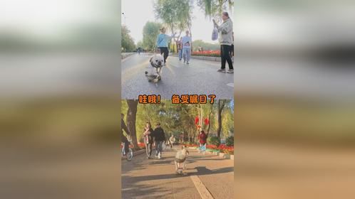 滑板的尽头是自由