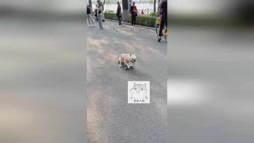 放假啦 好多人呀