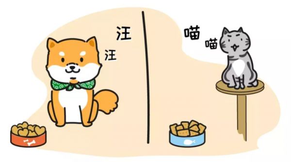 猫和狗一起养……那画面太美我不敢看!