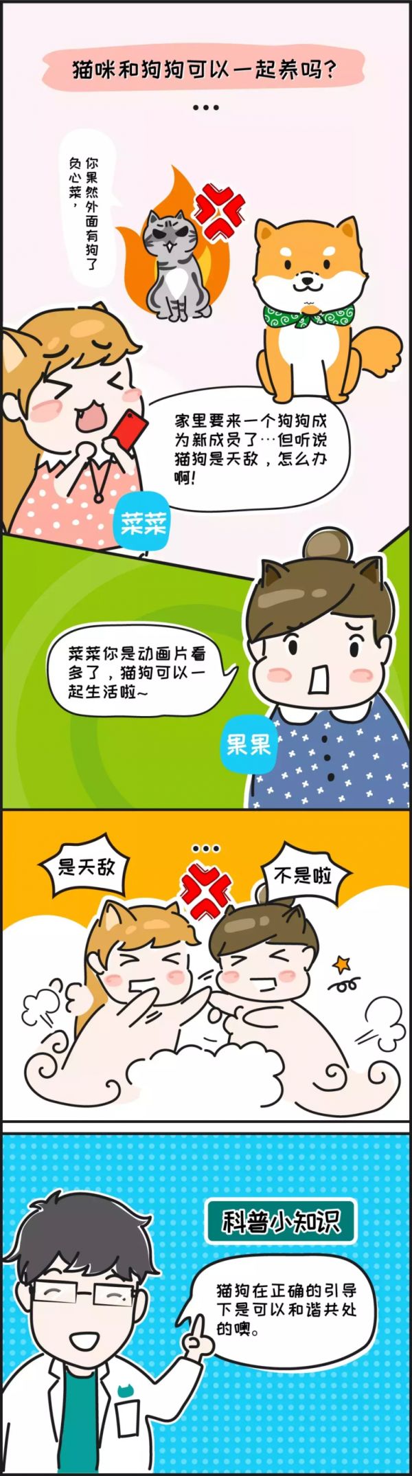 猫和狗一起养……那画面太美我不敢看!