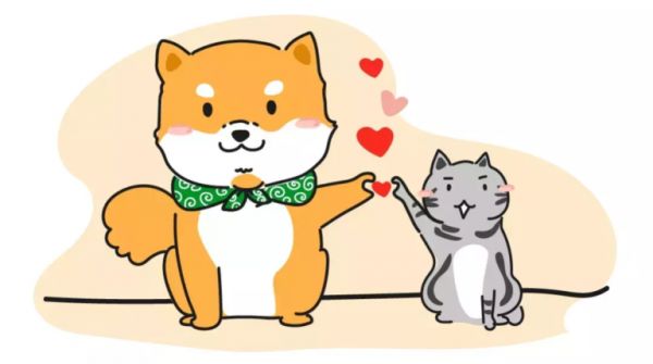 猫和狗一起养……那画面太美我不敢看!