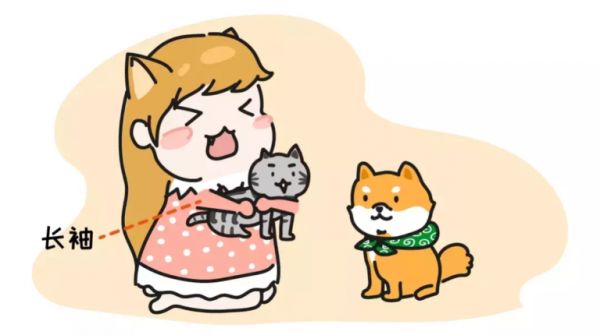 猫和狗一起养……那画面太美我不敢看!
