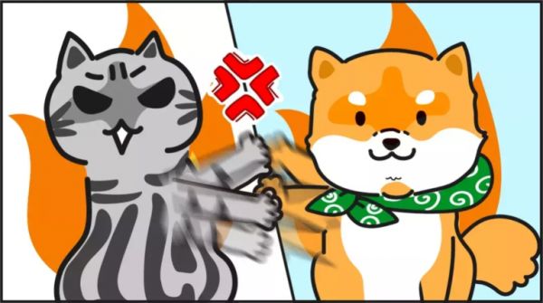 猫和狗一起养……那画面太美我不敢看!