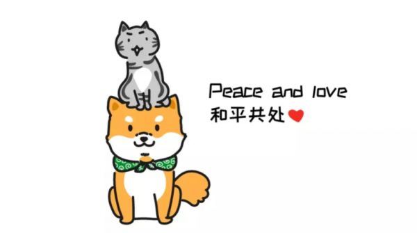 猫和狗一起养……那画面太美我不敢看!