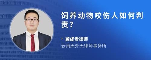 饲养动物咬伤人如何判责？