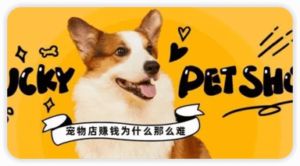 做宠物生意赚钱吗？（上）插图1